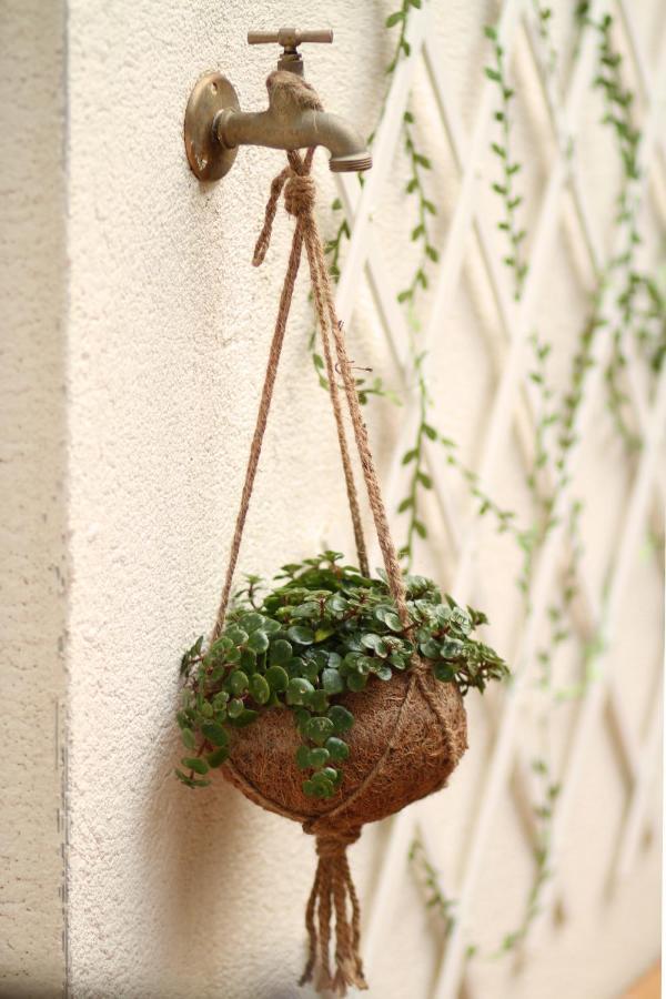 Apartment Right In The Heart Of Sète Exterior foto